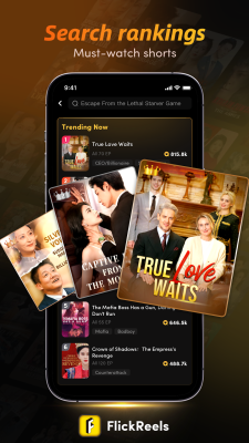 Screenshot of the application FlickReels - #3