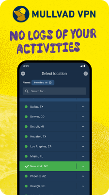 Screenshot of the application Mullvad VPN - #4