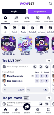 Screenshot of the application WOWBET - #2