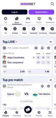 Screenshot of the application WOWBET - #3