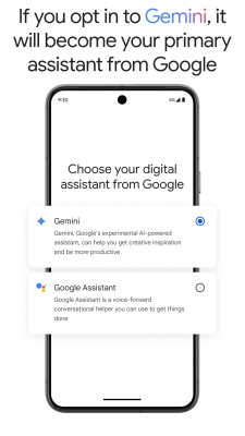 Screenshot of the application Gemini - #5