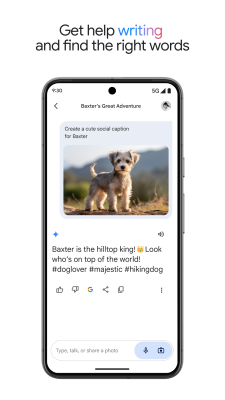 Screenshot of the application Gemini - #6