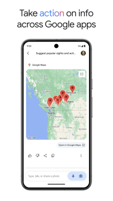 Screenshot of the application Gemini - #7