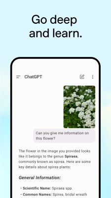 Screenshot of the application ChatGPT - #5