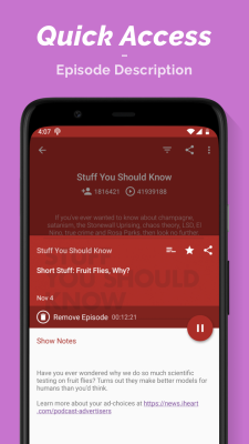 Screenshot of the application Podcast Player - #7