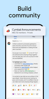 Screenshot of the application Google Chat - #4