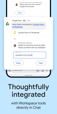 Screenshot of the application Google Chat - #8
