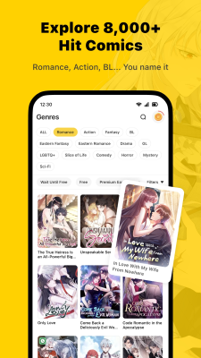 Screenshot of the application WebComics - #3