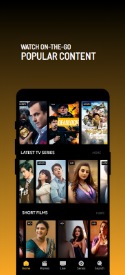 Screenshot of the application Picasso - #2