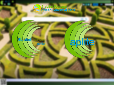 Screenshot of the application Stablint browser - #2