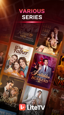 Screenshot of the application LiteTV - #4