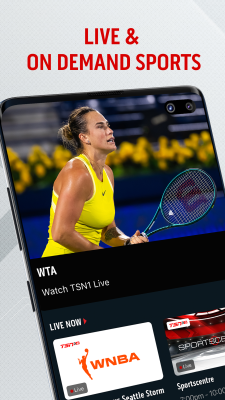 Screenshot of the application TSN - #1