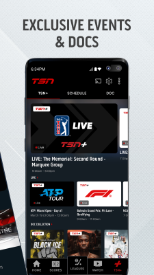 Screenshot of the application TSN - #2
