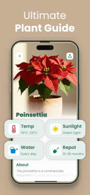 Screenshot of the application Plantify - #2