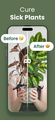 Screenshot of the application Plantify - #3