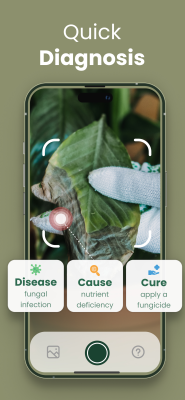 Screenshot of the application Plantify - #5