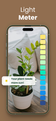 Screenshot of the application Plantify - #6