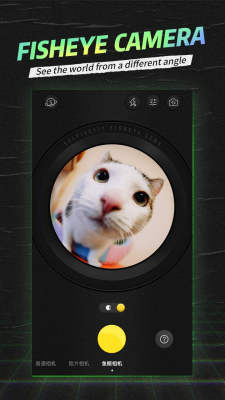 Screenshot of the application SelfieCity - #3