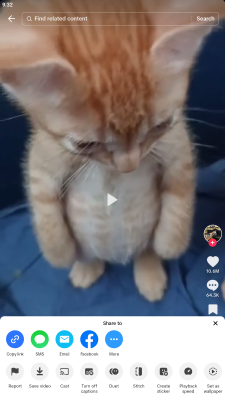 Screenshot of the application JTikTok - #4