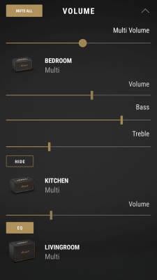 Screenshot of the application Marshall Multi-Room - #3