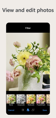 Screenshot of the application Owlfiles - #6