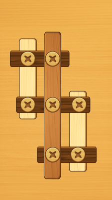 Screenshot of the application Screw Puzzle - #1