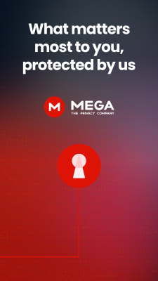 Screenshot of the application MEGA Pass Password Manager - #7