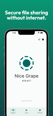 Screenshot of the application LocalSend - #1