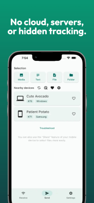 Screenshot of the application LocalSend - #2
