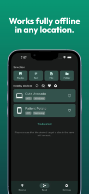 Screenshot of the application LocalSend - #3