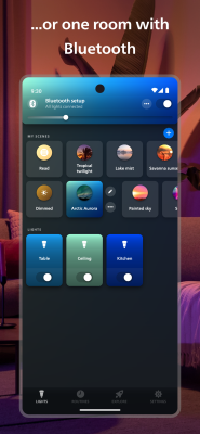 Screenshot of the application Philips Hue - #3