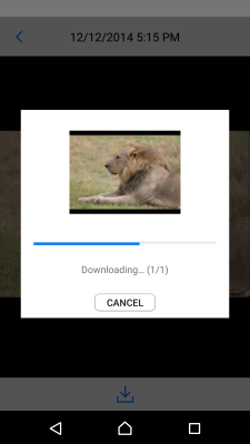 Screenshot of the application Canon Connect Station - #4