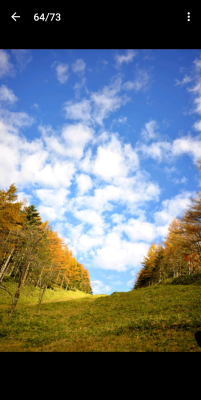 Screenshot of the application NIKON IMAGE SPACE - #5