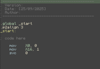 Screenshot of the application kitasm - #1