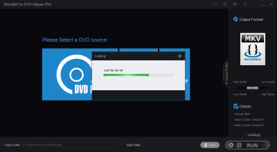 Screenshot of the application WonderFox DVD Ripper Pro - #3