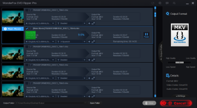 Screenshot of the application WonderFox DVD Ripper Pro - #8