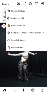 Screenshot of the application Honista - #3