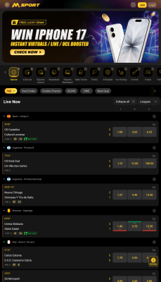 Screenshot of the application MSport - #4