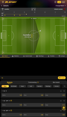 Screenshot of the application MSport - #6