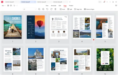 Screenshot of the application JOPDF for Linux - #5