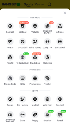 Screenshot of the application Bangbet - #5