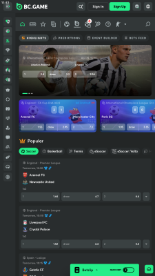 Screenshot of the application BC Game - #3