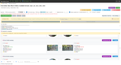 Screenshot of the application VideoDuplicateCleaner - #3