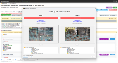 Screenshot of the application VideoDuplicateCleaner - #4