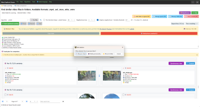 Screenshot of the application VideoDuplicateCleaner - #5