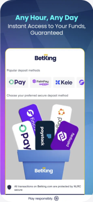 Screenshot of the application BetKing - #8