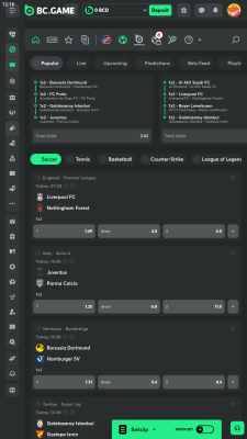 Screenshot of the application BC Game - #2