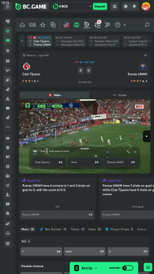 Screenshot of the application BC Game - #3