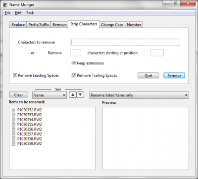 Screenshot of the application Name Munger - #4