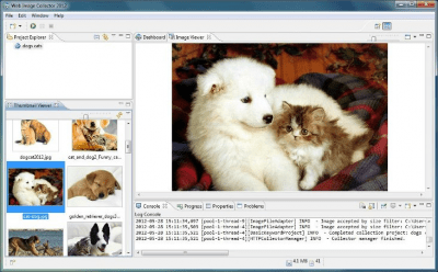 Screenshot of the application Web Image Collector - #1